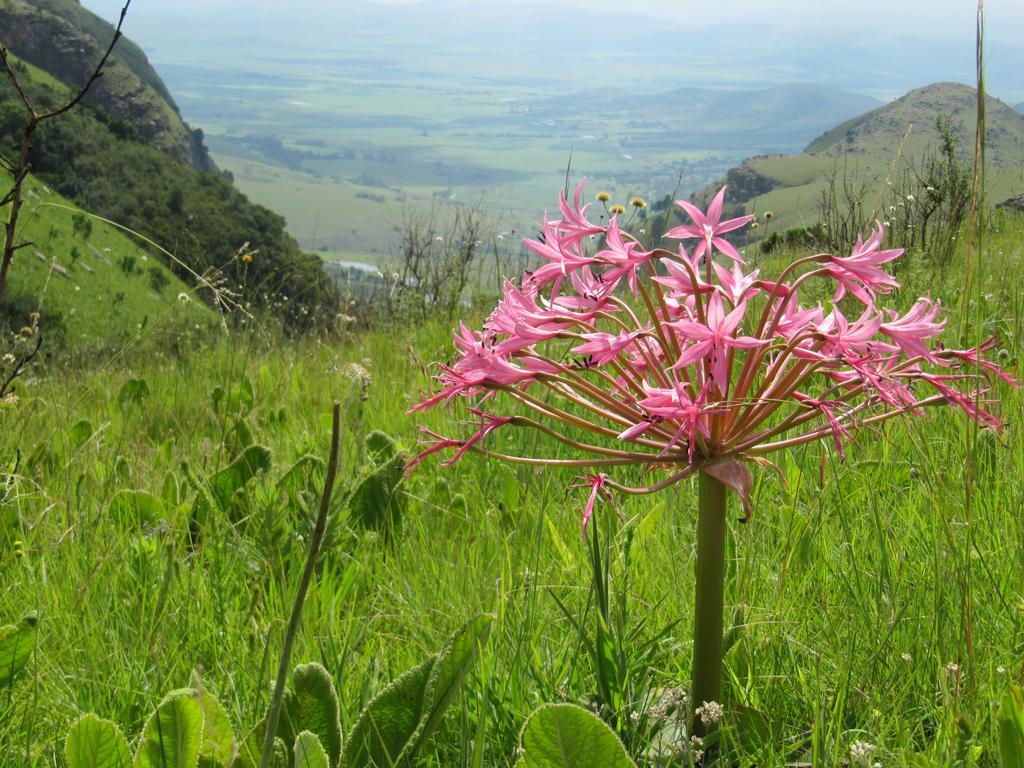Verlorenkloof Dullstroom Exteriér fotografie
